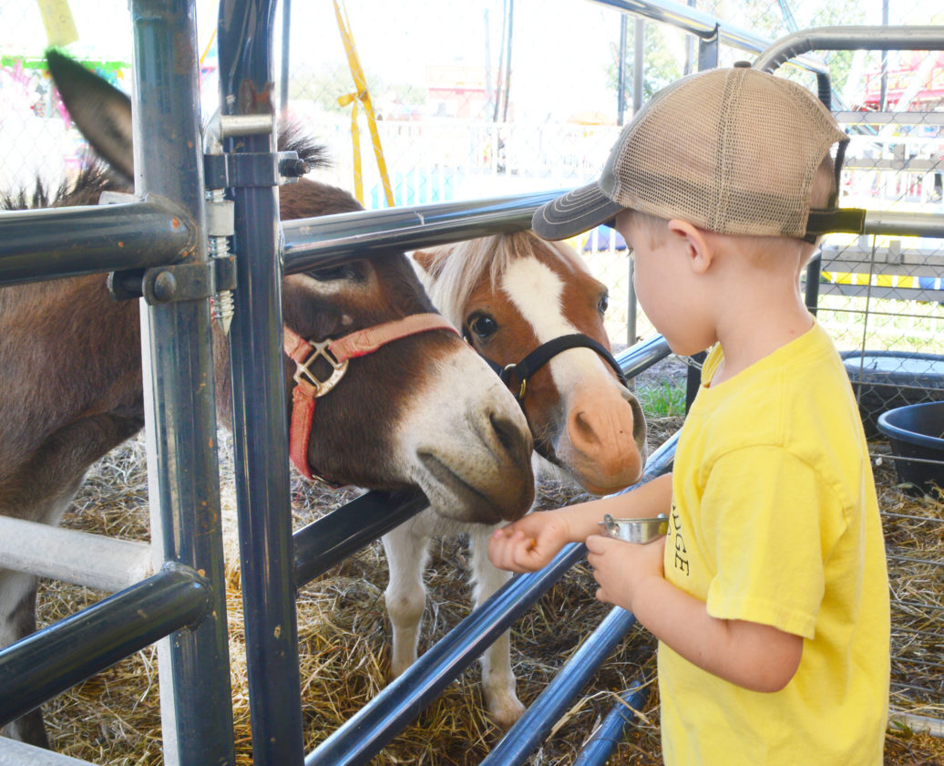 Community makes Barlow Fair a success time and again News, Sports